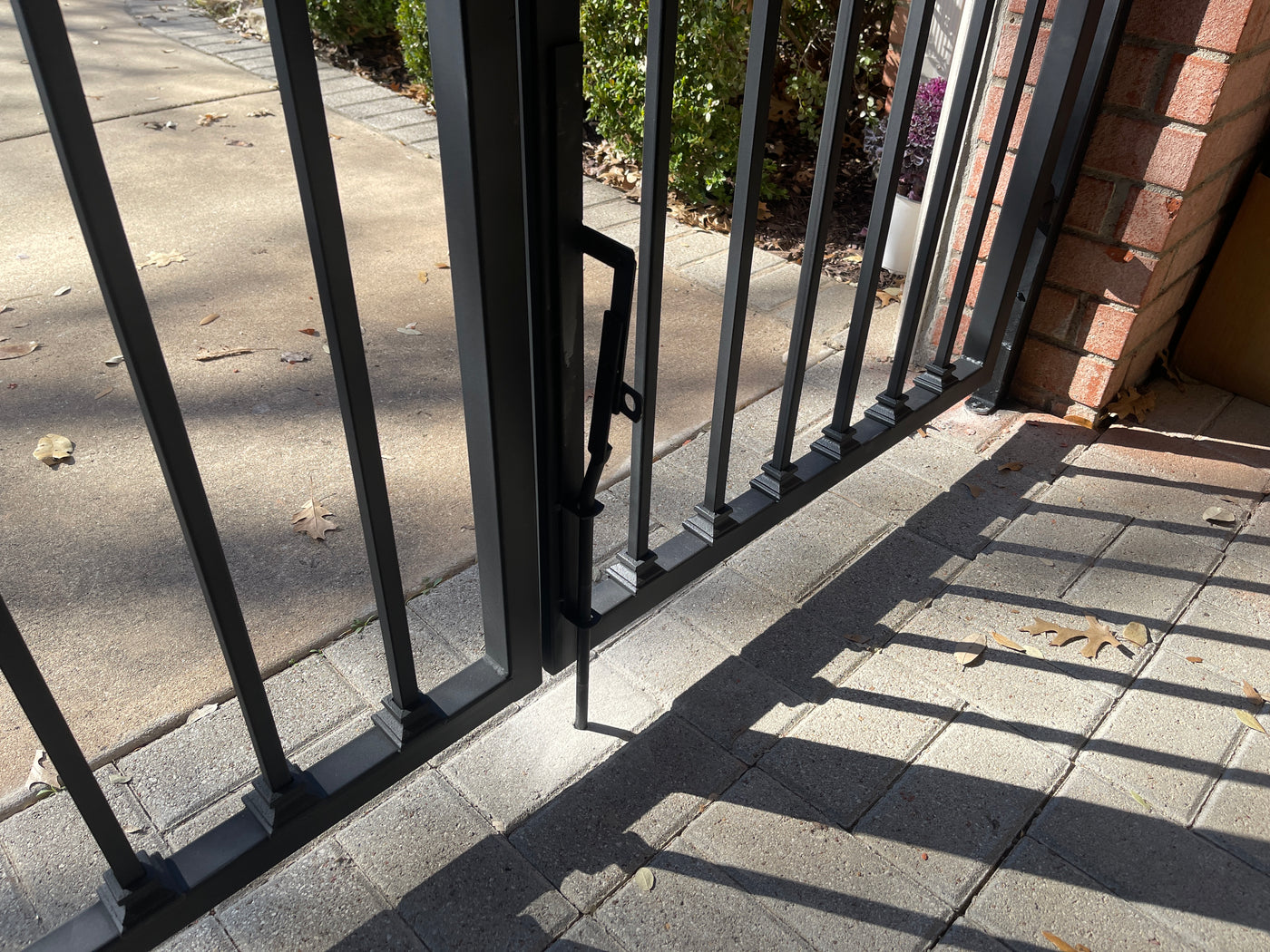 Iron gate for the front door