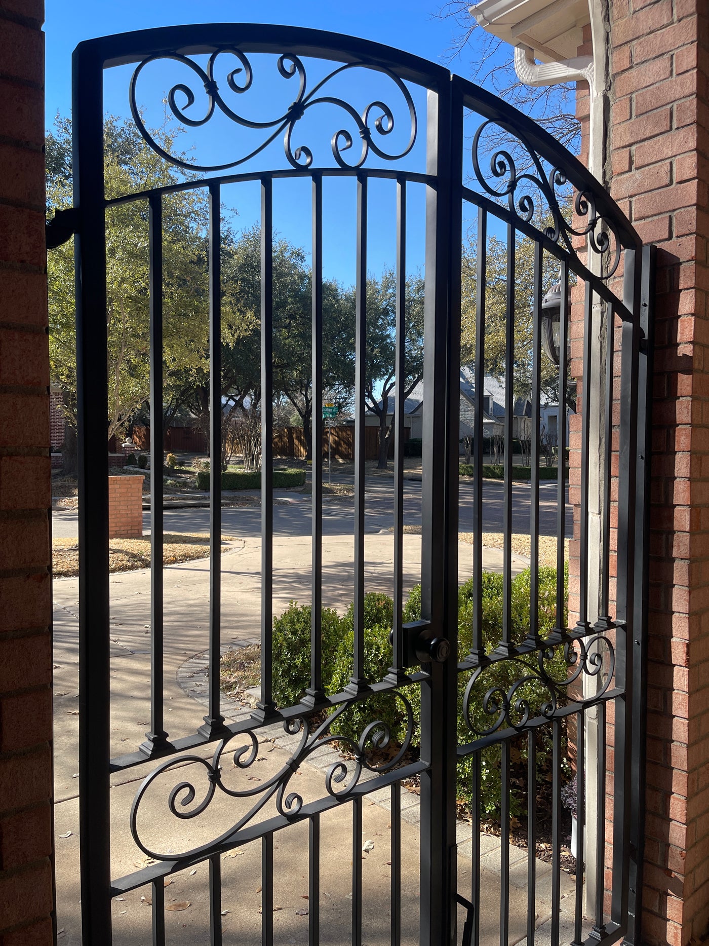 Iron gate for the front door